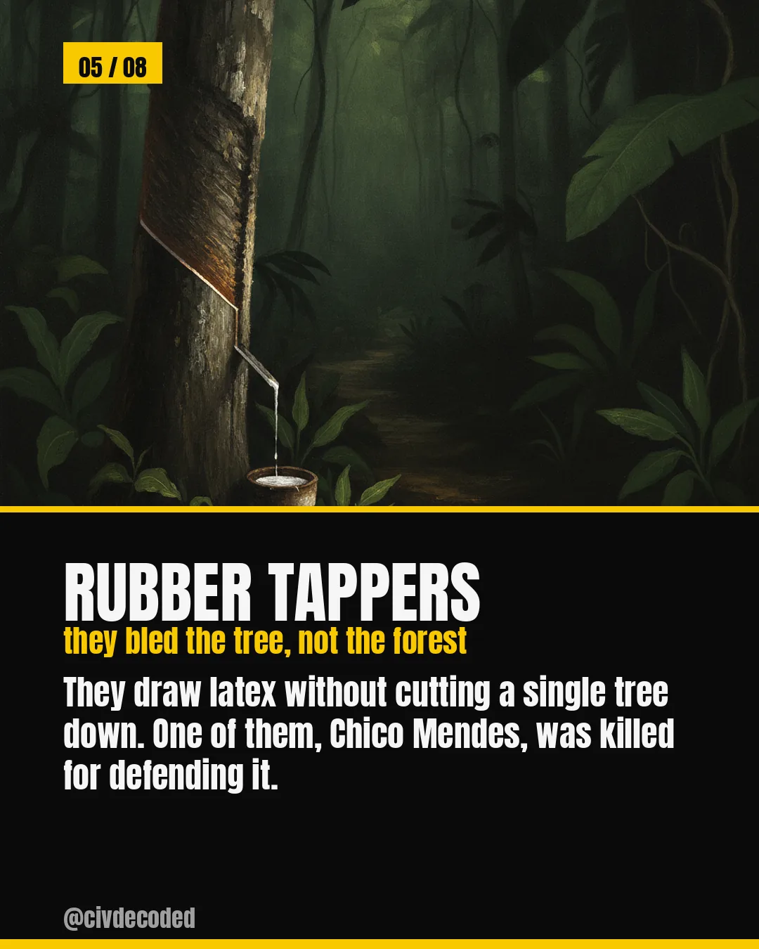 Rubber Tappers — they bled the tree, not the forest. They draw latex without cutting a single tree down; one of them, Chico Mendes, was killed for defending it.