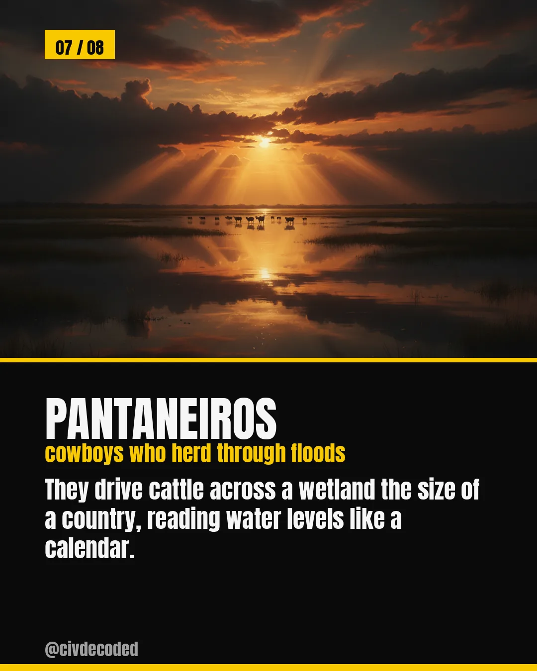 Pantaneiros — cowboys who herd through floods. They drive cattle across a wetland the size of a country, reading water levels like a calendar.