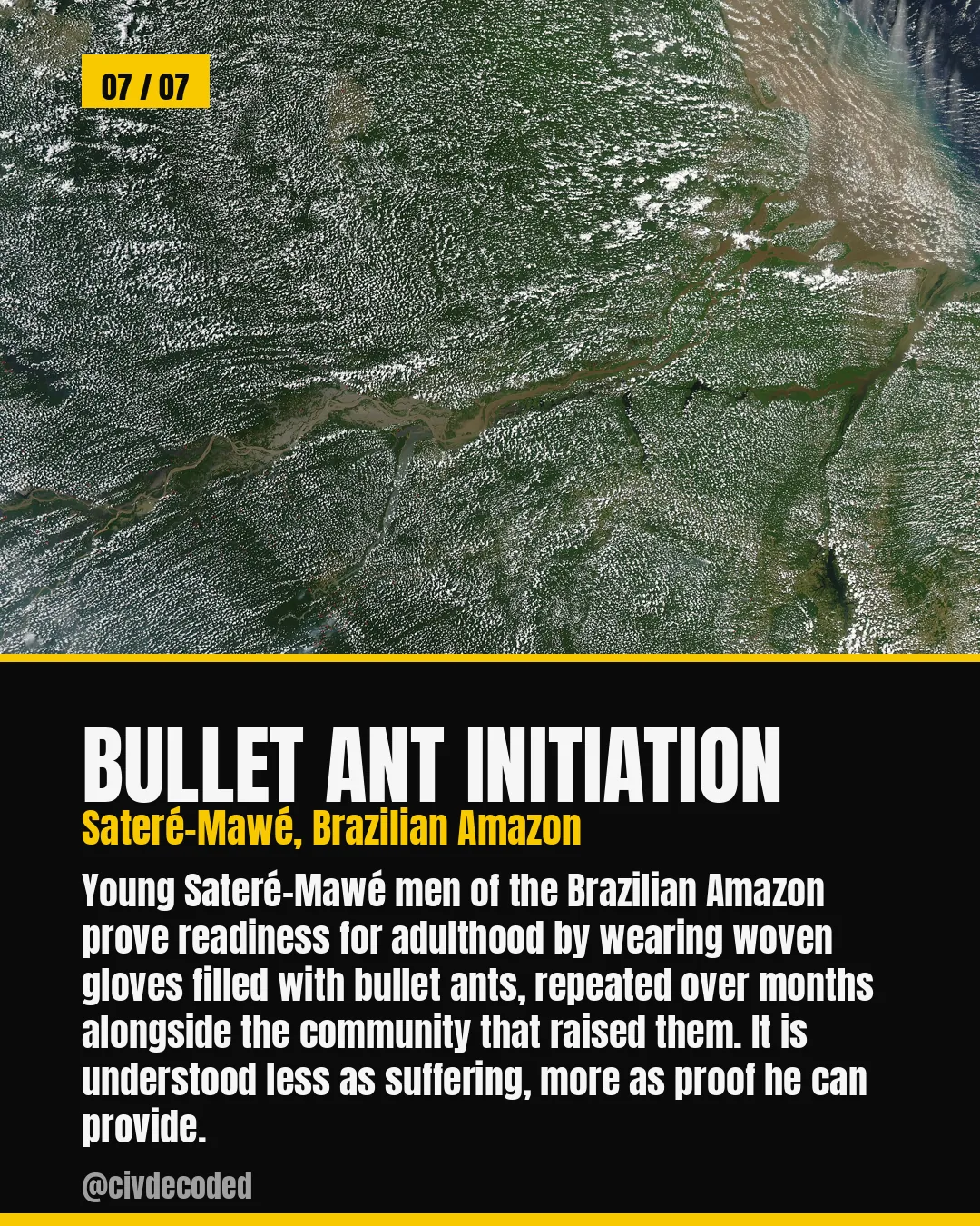The Sateré-Mawé bullet ant initiation