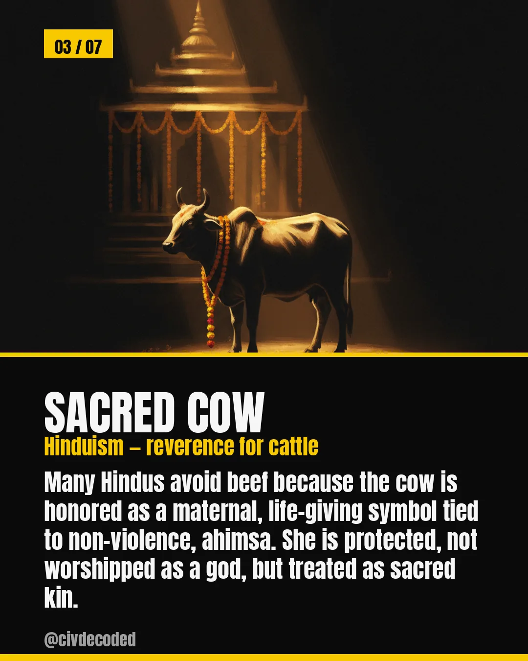 The sacred cow — reverence for cattle in Hinduism