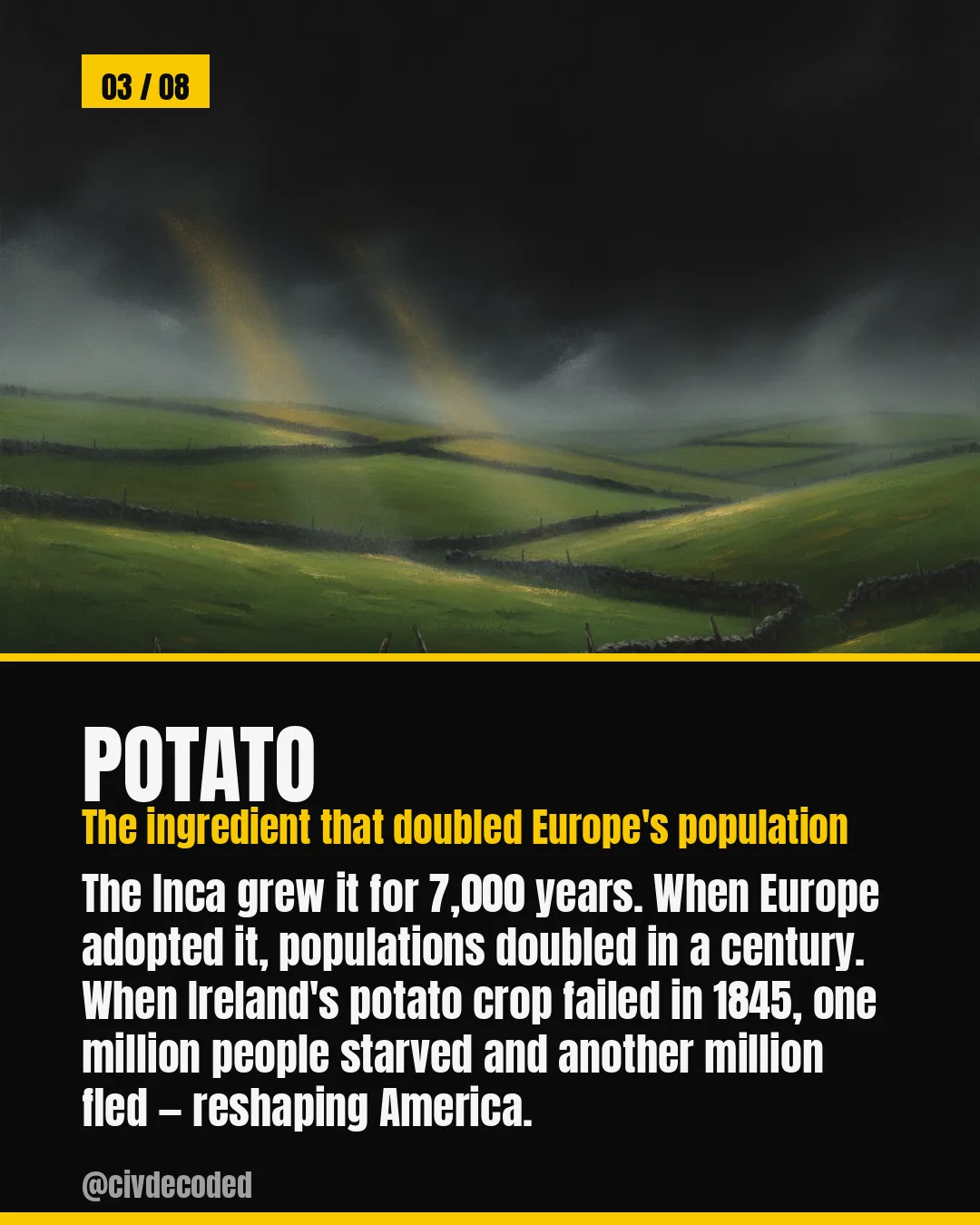 Potato — grown by the Inca for 7,000 years; its 1845 Irish famine starved a million and displaced a million more