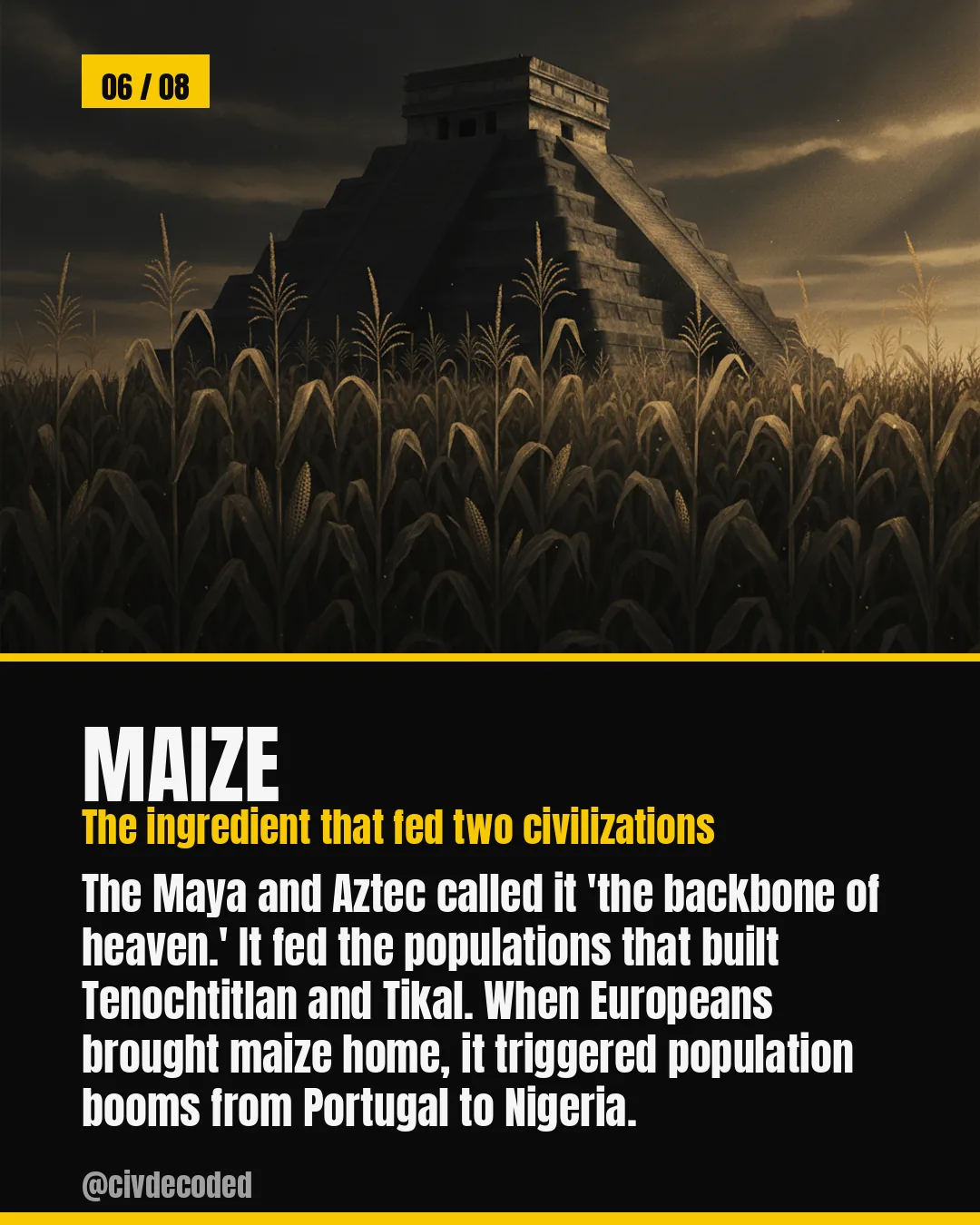Maize — the Maya and Aztec 'backbone of heaven', later fueling population booms from Portugal to Nigeria