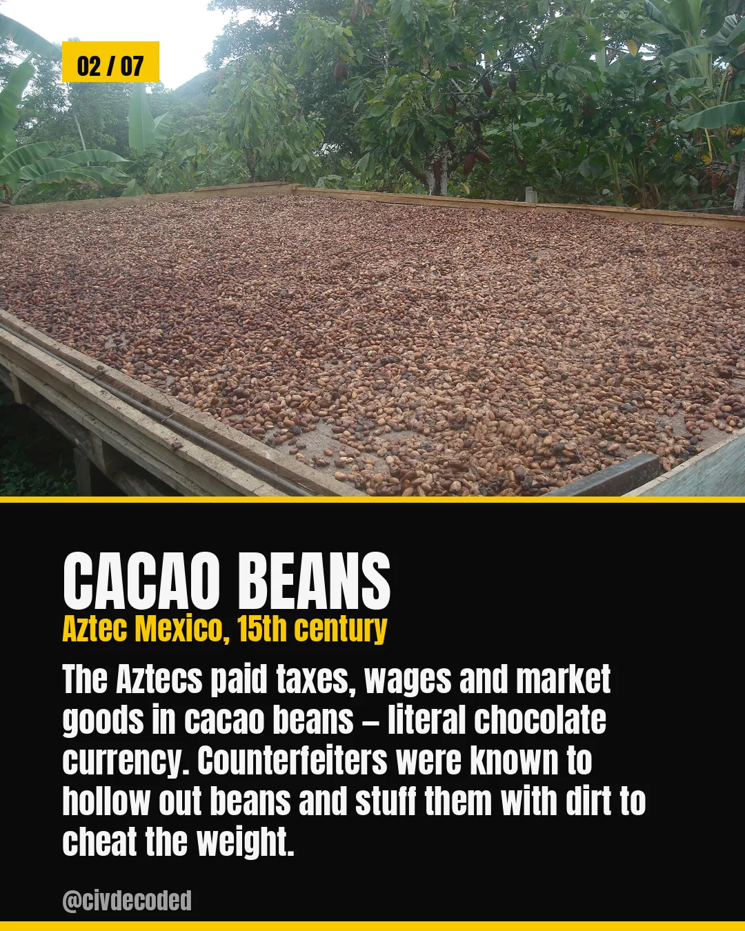 Cacao Beans — Aztec Mexico paid taxes, wages and market goods in cacao beans; counterfeiters hollowed them out and stuffed them with dirt.
