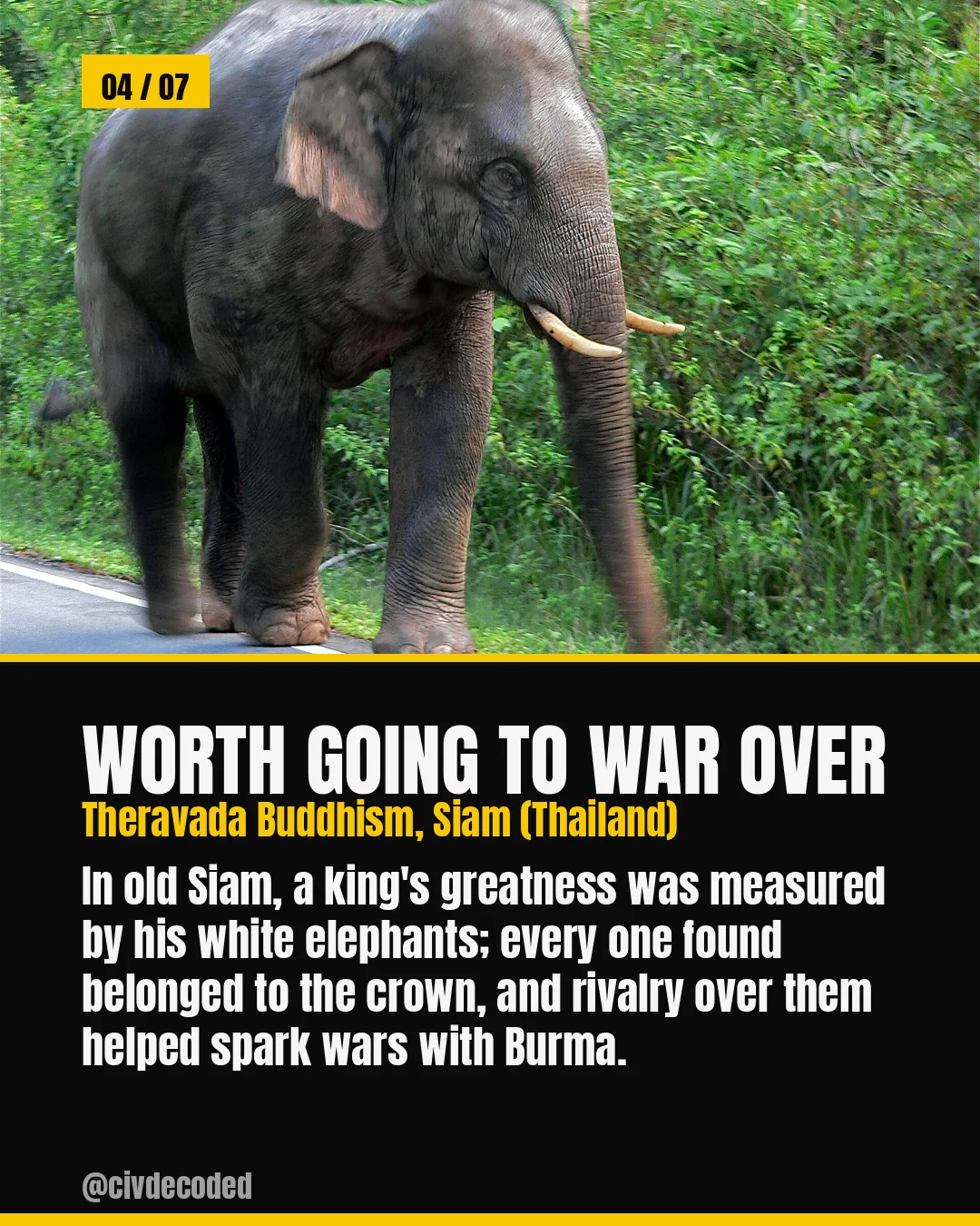 Worth Going to War Over — in old Siam (Thailand), a king's greatness was measured by his white elephants, and rivalry over them helped spark wars with Burma.