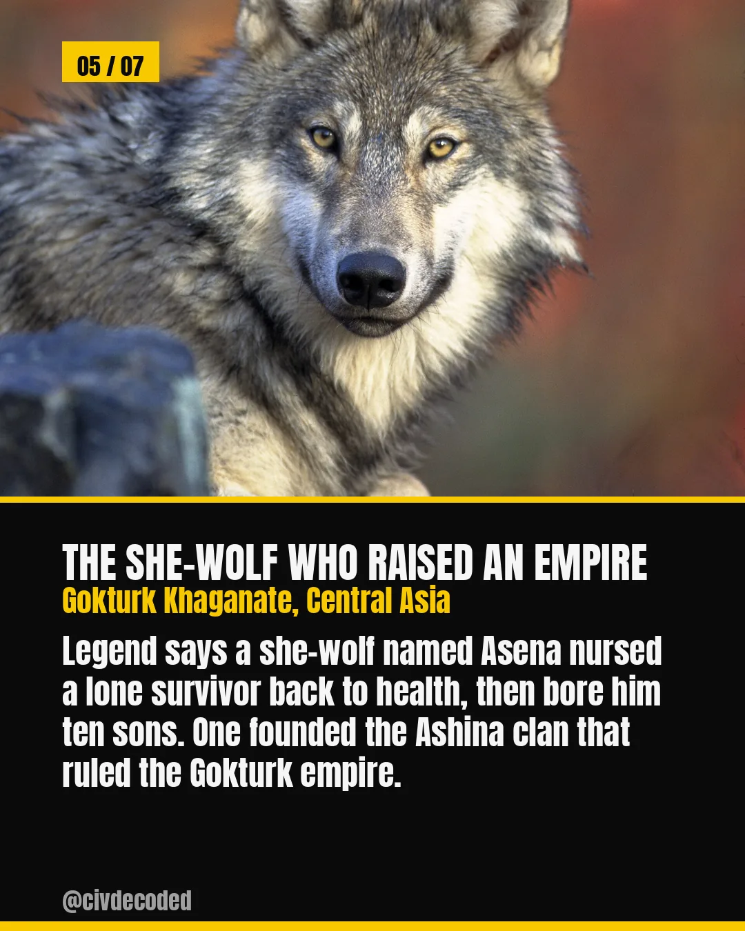 The She-Wolf Who Raised an Empire — Gokturk legend says a she-wolf named Asena nursed a survivor back to health and bore the ten sons who founded the ruling Ashina clan.