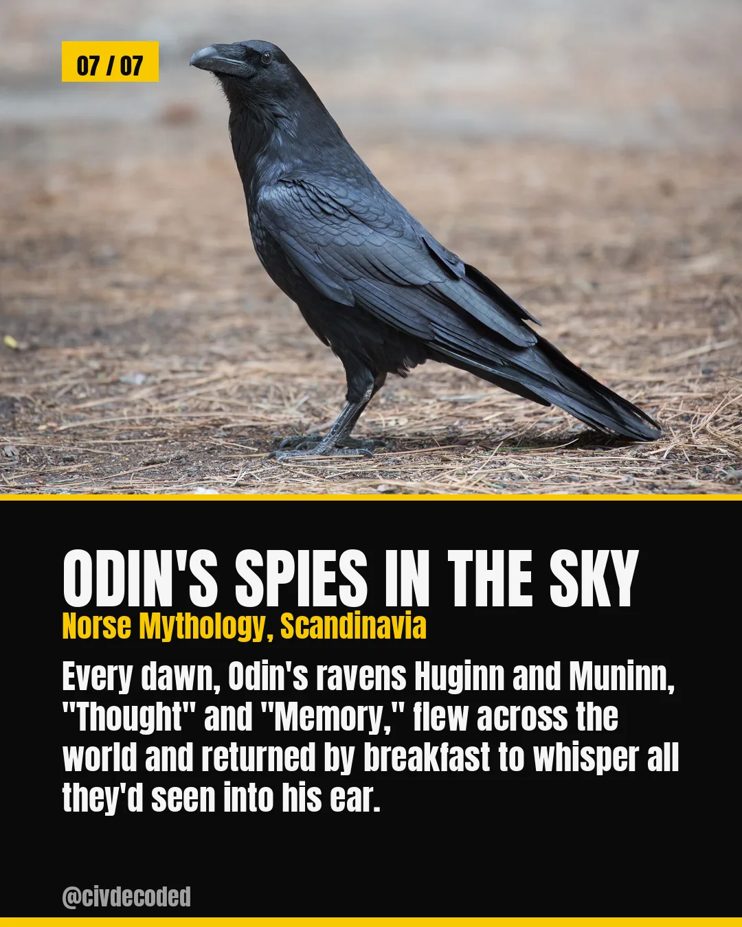 Odin's Spies in the Sky — Norse mythology's ravens Huginn and Muninn, "Thought" and "Memory," flew the world each dawn and returned to whisper all they'd seen into Odin's ear.